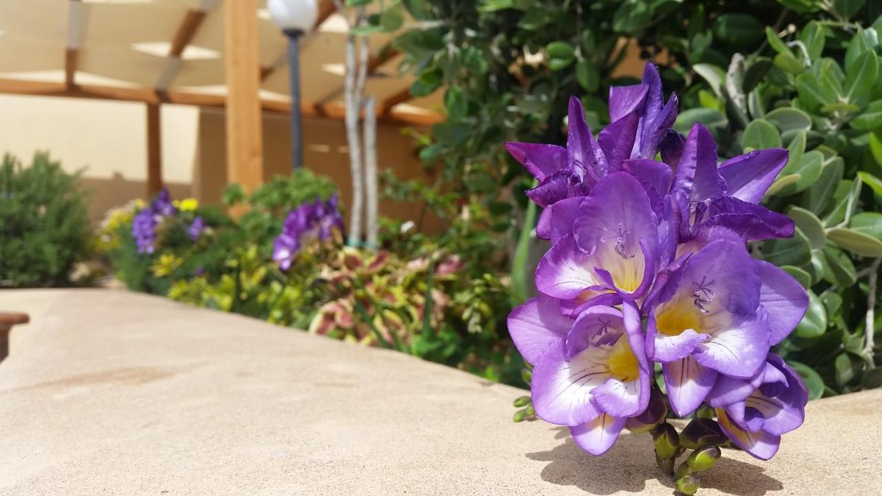 Baglio Cudia Resort Марсала Екстериор снимка
